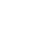 1-on-1 Professional Consultation